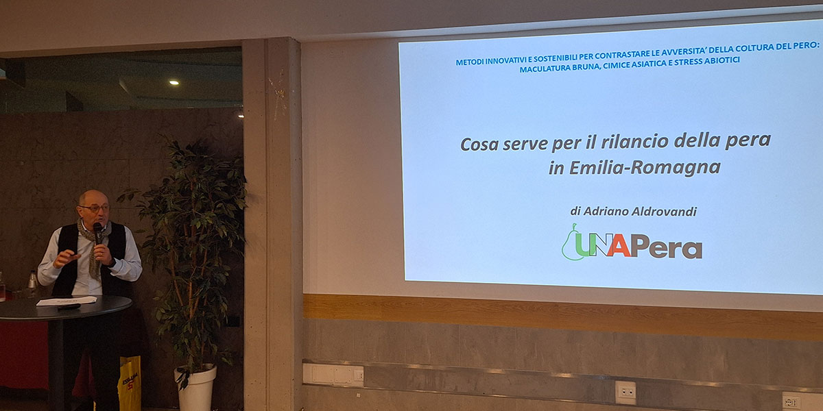 Pere, i numeri del dramma: plv media da 5.000 euro/ettaro